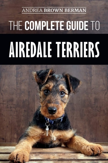 Guide to Airedale Terriers