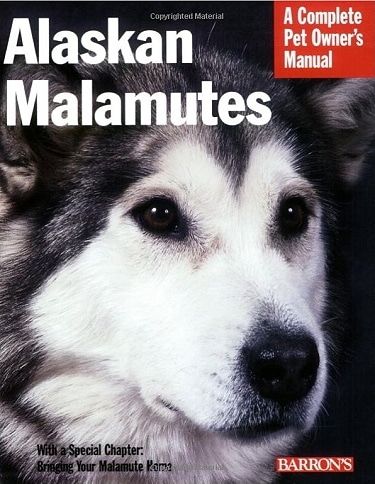 Guide to Alaskan Malamutes