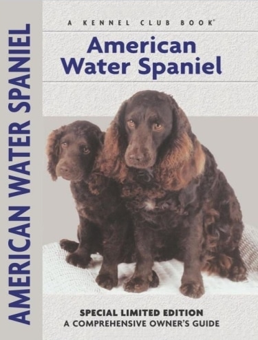 Guide to American Water Spaniels