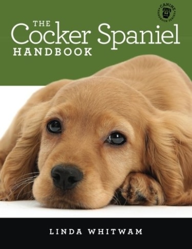 Guide to Cocker Spaniels