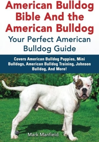 Guide to the American Bulldog