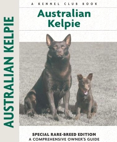 Guide to the Australian Kelpie