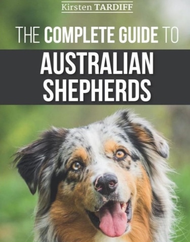 Guide to Australian Shepherds