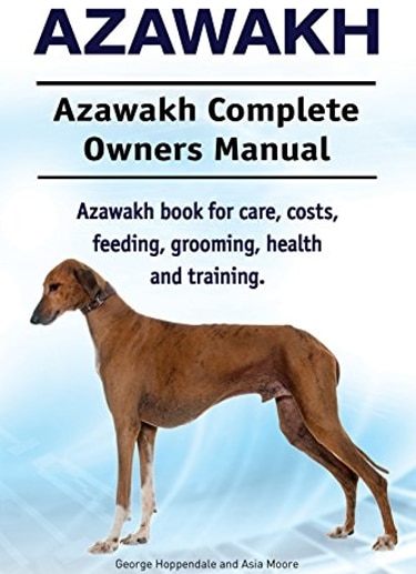 Guide to the Azawakh Dog