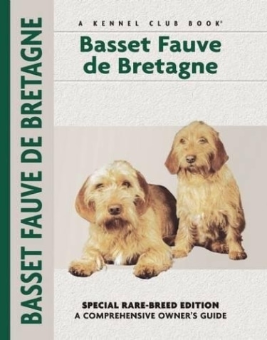 Guide to Basset Fauve de Bretagne
