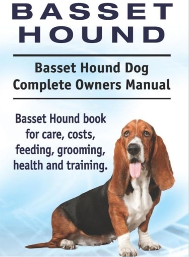 Guide to Basset Hounds