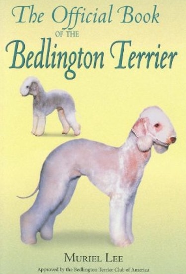 Guide to Bedlington Terriers