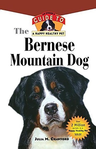 Guide to Bernese Mountain Dog