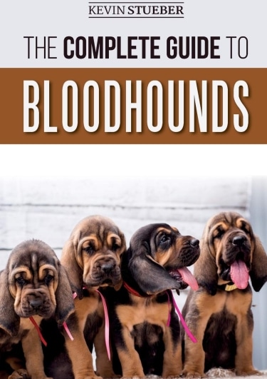 Guide to Bloodhounds