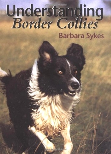 Guide to Border Collies