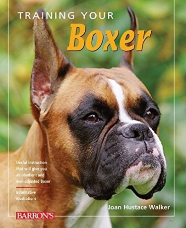 Training Your Boxer