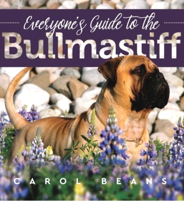 Guide to the Bullmastiff