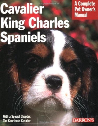 Guide to Cavalier King Charles Spaniel