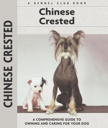 Guide to Chinese Crested Dog