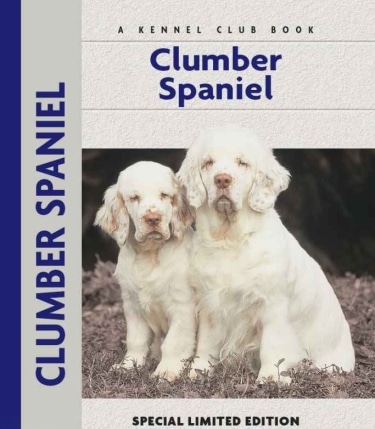 Guide to Clumber Spaniel