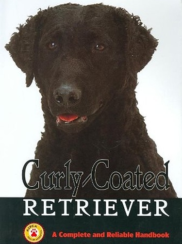 Guide to Curly Coated Retriever