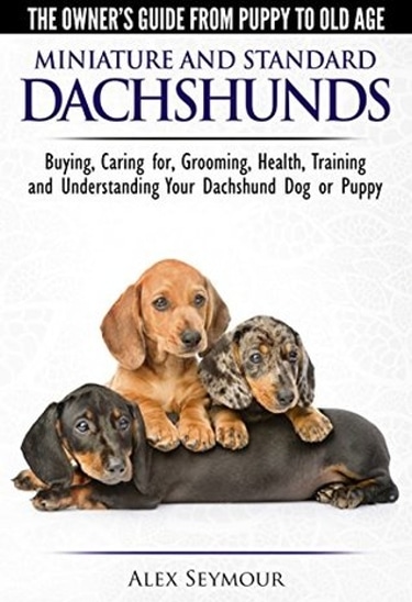 Guide to Dachshunds