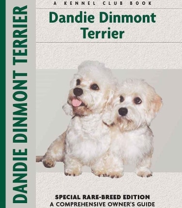 Guide to Dandie Dinmont Terrier