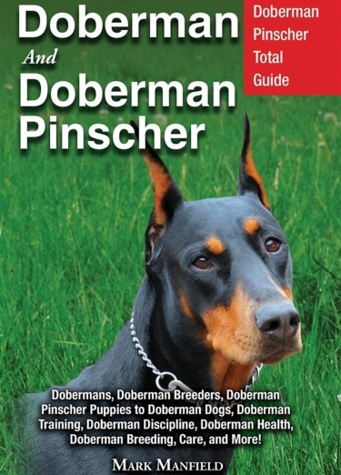 Guide to Doberman Pinschers