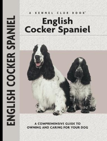 Guide to English Cocker Spaniels