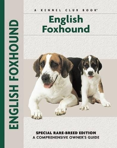 Guide to English Foxhounds