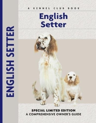 Guide to English Setter