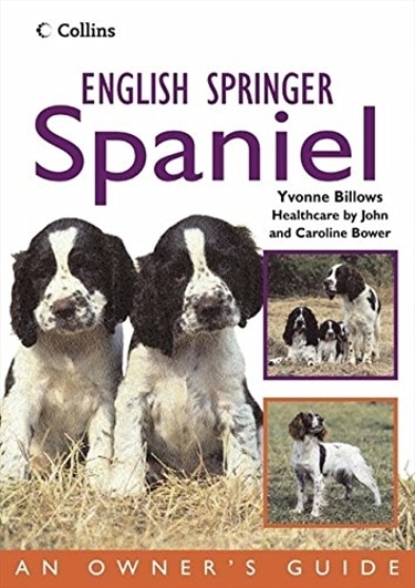 gUIDE TO English Springer Spaniel