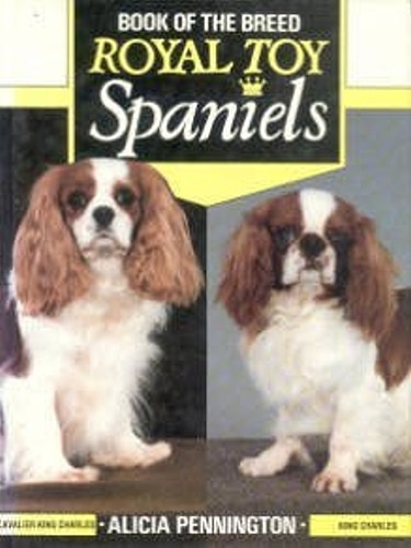 Guide to English Toy Spaniels