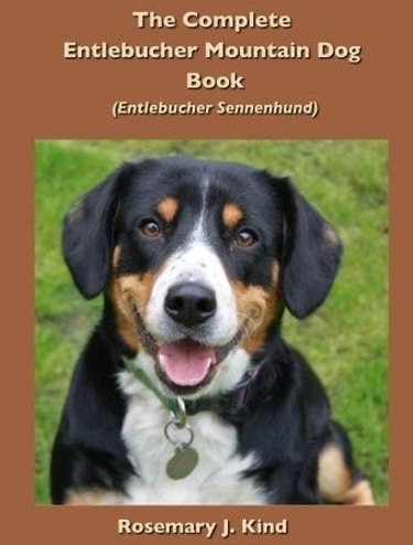 Complete Guide to the Entlebucher Mountain Dog