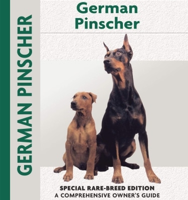 Guide to German Pinscher