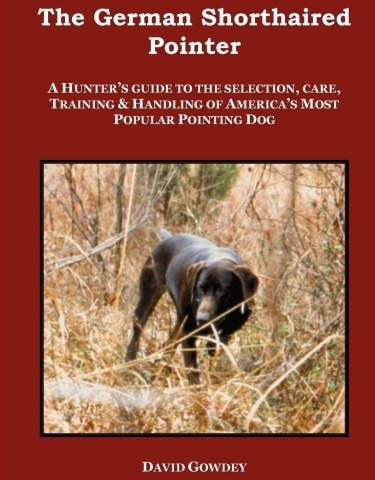 Guide to German Shorthaired Pointer