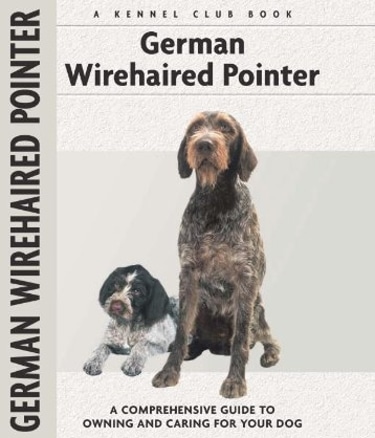 Guide to the German Wirehaired Pointer