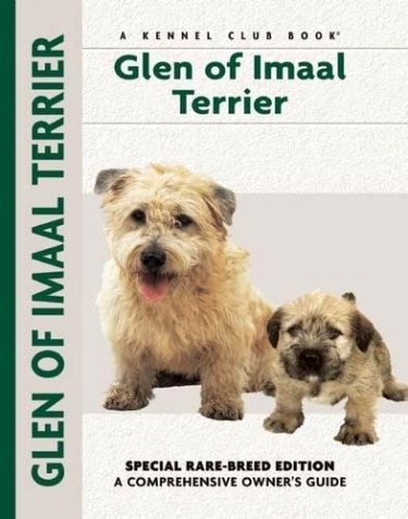 Guide to the Glen of Imaal Terrier