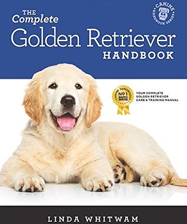 Guide to the Golden Retriever