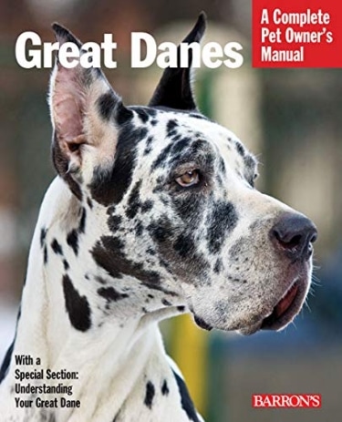 Guide to the Great Dane