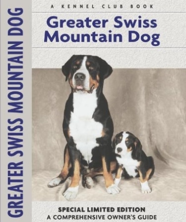 Guide to Greater Swiss Mountain Dog