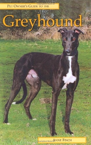 Guide to the Greyhound