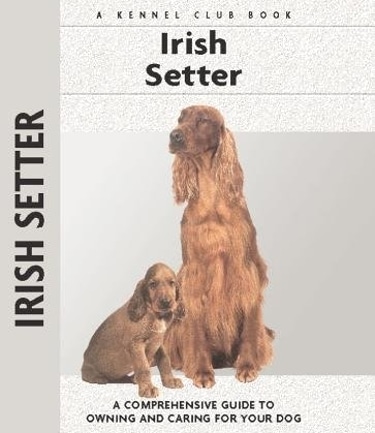 Guide to the Irish Setter