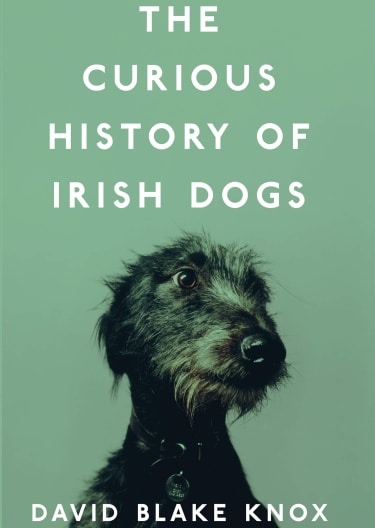 The Curious History of Irish Dogs, Irish Terrier