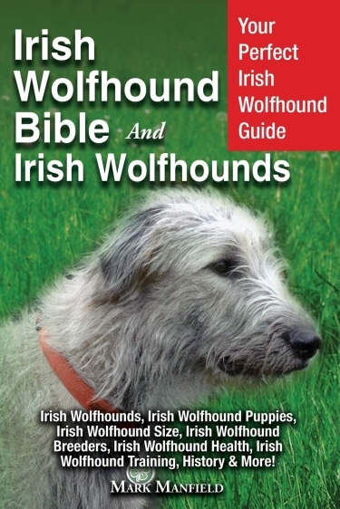 Guide to the Irish Wolfhound