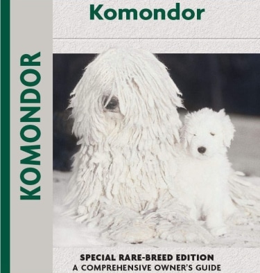 Guide to the Komondor