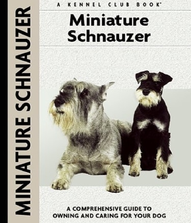 Guide to the Miniature Schnauzer