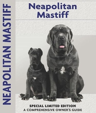 Guide to the Neapolitan Mastiff
