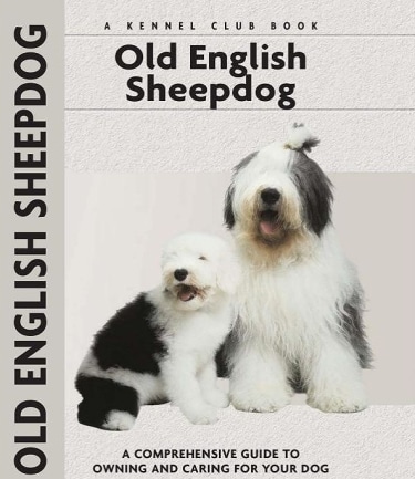 Guide to the Old English Sheepdog