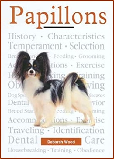 Guide to the Papillon Dog