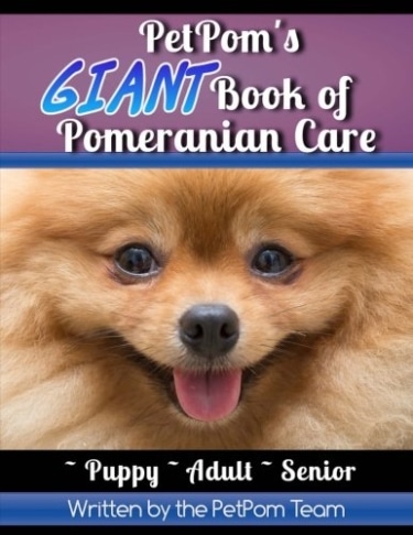 Giant Book of Pomeranian Care