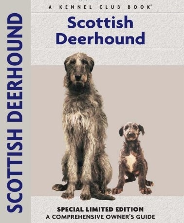 Guide to the Scottish Deerhound