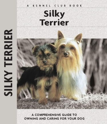 Guide to the Silky Terrier