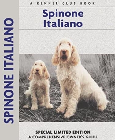 Guide to the Spinone Italiano