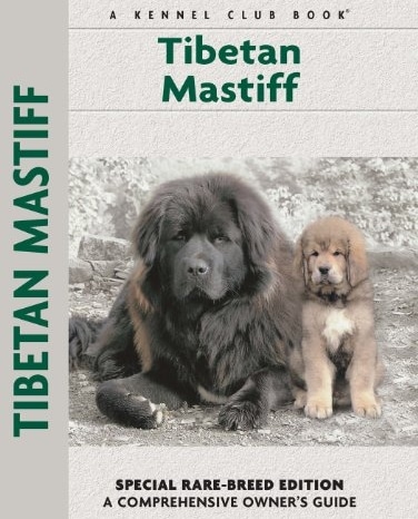 Guide to the Tibetan Mastiff